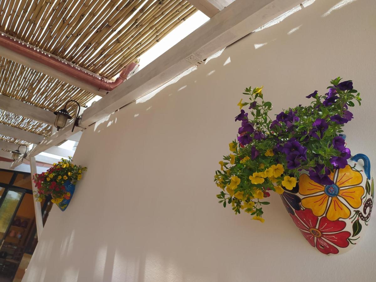 Agriturismo "Terra D'Ulivi" ปอร์โตเชซาเรโอ ภายนอก รูปภาพ