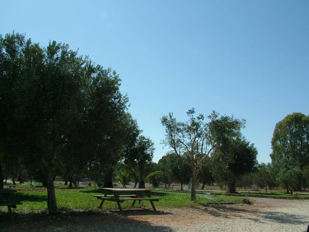 Agriturismo "Terra D'Ulivi" ปอร์โตเชซาเรโอ ห้อง รูปภาพ
